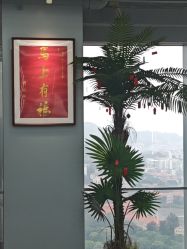 -天使之手plus
