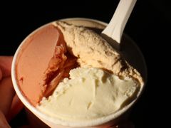 -Dip in Gelato(富民路店)
