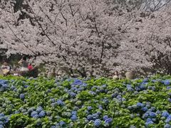 -苏州上方山国家森林公园