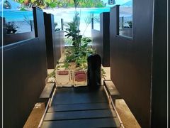 -大头椰·椰子鸡火锅(南宁万象城店)