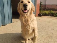 -圣宠动物医院·犬猫专科·影像中心·外科中心