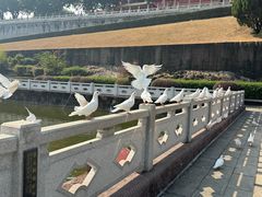 -广州莲花山旅游区