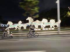-华侨公园