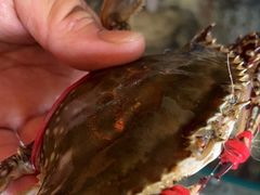 -蓝珊甄选海鲜自助·火锅大排档(近阿那亚店)