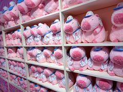 -龙湖南京河西天街