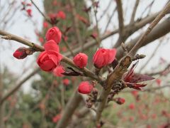 景点-裕华世纪公园