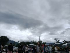 -世界恐龙谷景区
