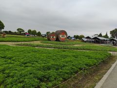 -嘉北郊野公园