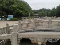 -福神岗公园