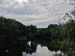 -洋湖国家湿地公园