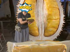 -都念榴莲·城市榴莲