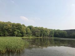 -紫金山索道-售票处