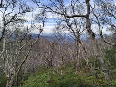 -灵山