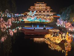 -淄博花灯齐彩城