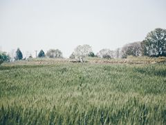 -三圣花乡旅游区