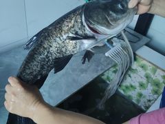 -鱼味馆(万佛湖店)