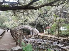-广州市石门国家森林公园