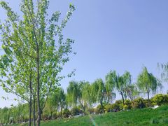 -洨河生态公园