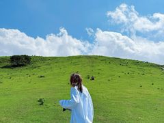 -大姆山草场