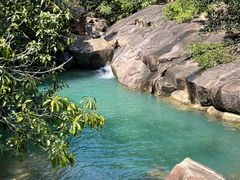 -广州白江湖森林公园