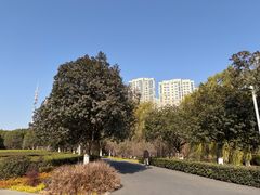 -白塘生态植物园