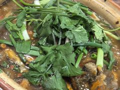 -华仔土鸡店(南洲分店)