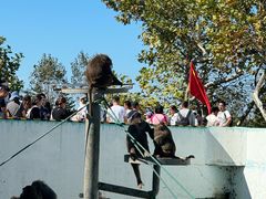-西霞口神雕山野生动物世界