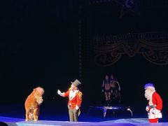 -珠海横琴长隆《卡卡虎奇遇记》