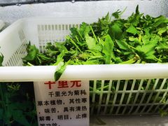 -黔府豆米火锅野菜馆(南马店)