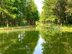 -西溪国家湿地公园