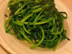 茼蒿-利苑酒家(合景国际金融广场店)