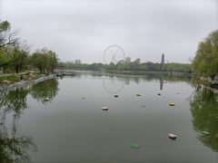 -祥源·阜阳生态乐园