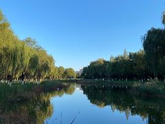 -中关村生命科学园