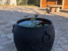-爱新觉罗皇家博物院