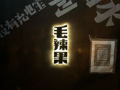 -毛辣果·酸