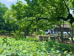 -西溪国家湿地公园