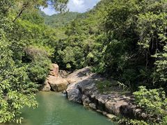 -广州白江湖森林公园