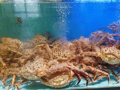 -阿伟海鲜楼·福建菜(延寿店)