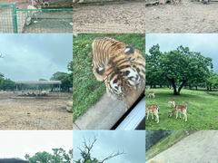 -西安秦岭野生动物园
