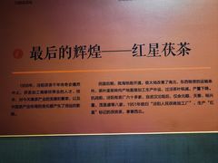 -茯茶镇