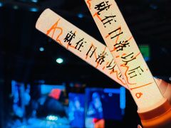 -南京奥林匹克体育中心-体育馆