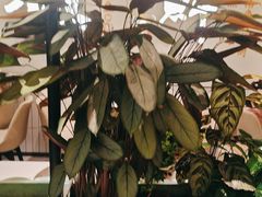 -川人百味(金安中央大街店)