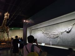 -柳州白莲洞洞穴科学博物馆