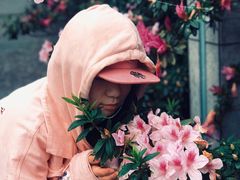 -台北北投丽禧温泉酒店