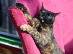 -EATALIA意塔利意式餐厅(鼓楼店)