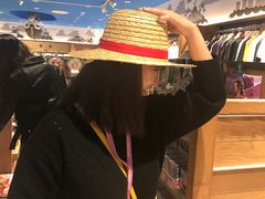 -东京塔海贼王主题公园