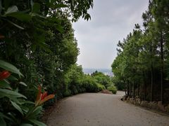 -雨花胜境