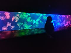 -成都浩海立方海洋公园