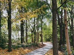 -昆山城市生态森林公园