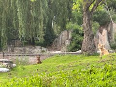 -太阳宫公园